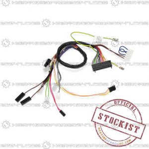 Chaffoteaux Wire Assembly 61010331