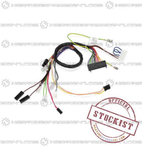 Chaffoteaux Wire Assembly 61010331