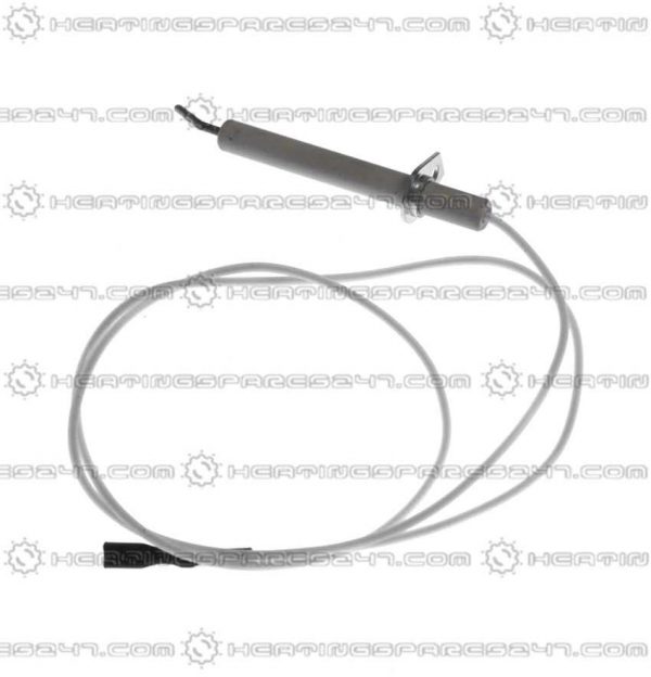 Glowworm Electrode S202629
