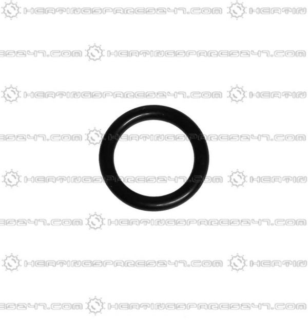 Glowworm O-Ring 0020014678