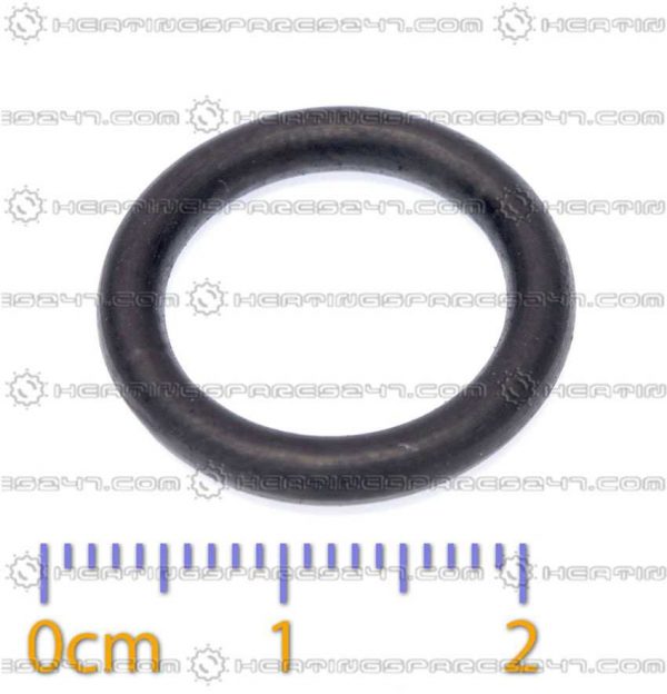 Glowworm O-Ring 0020061588