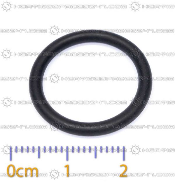 Glowworm O-Ring 2000802532