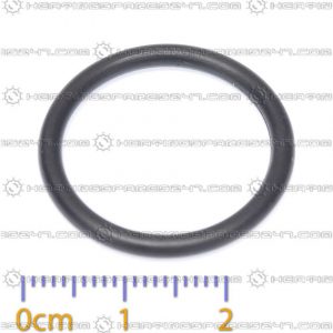 Glowworm O-Ring S208040