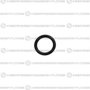 Glowworm O- Ring (single) 0020038089
