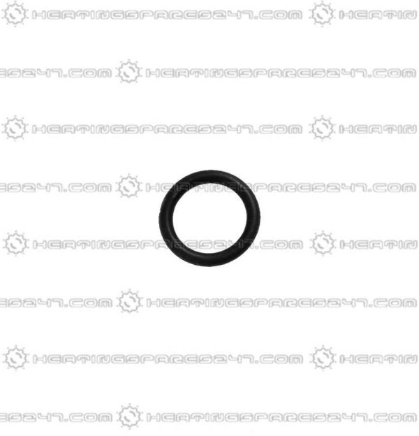 Glowworm O- Ring (single) 0020038089