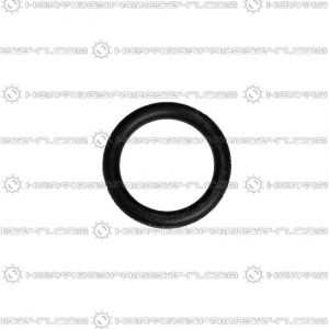 Glowworm O-ring (single) 0020033467
