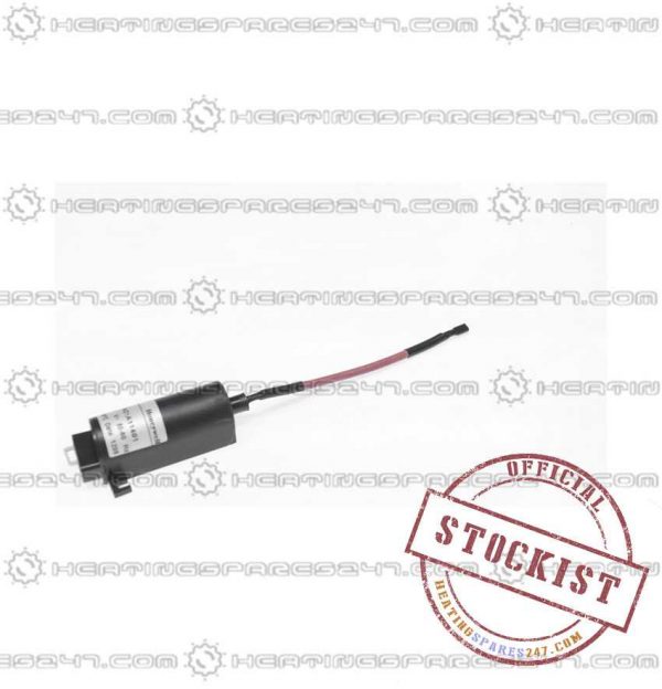 Main Ignitor with Lead 248097