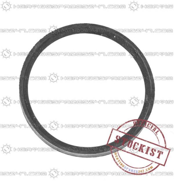 Main Washer Dia100 Outer Adapt Seal 5112398