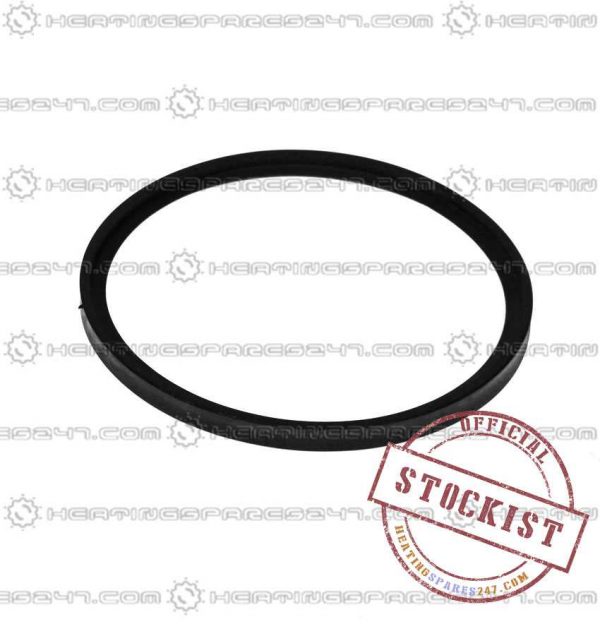 Wocrester Seal 100mm x 8mm 87161116730