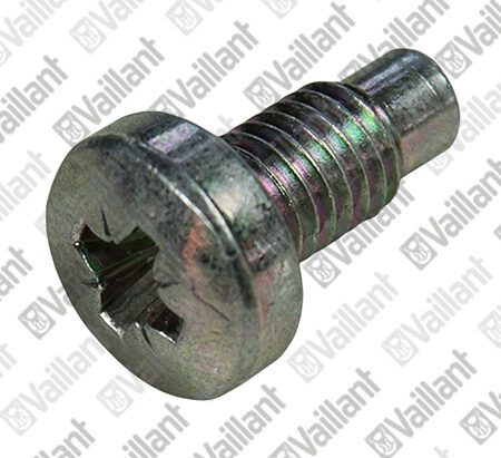 Vaillant Screw - Electrode 105906