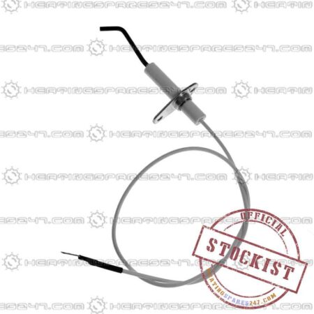 Biasi Electrode BI1223104