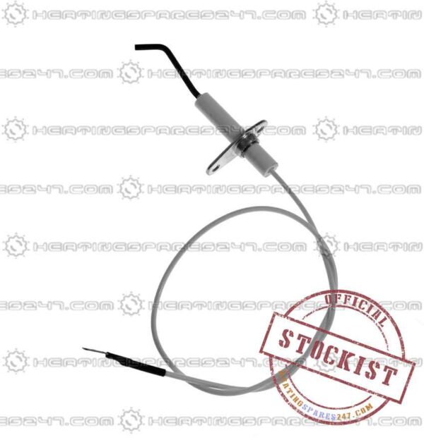 Biasi Electrode BI1223104