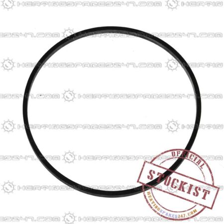 Biasi Pump Seal BI1172112