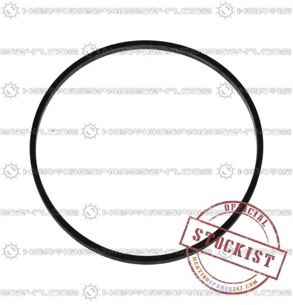 Biasi Pump Seal BI1172112