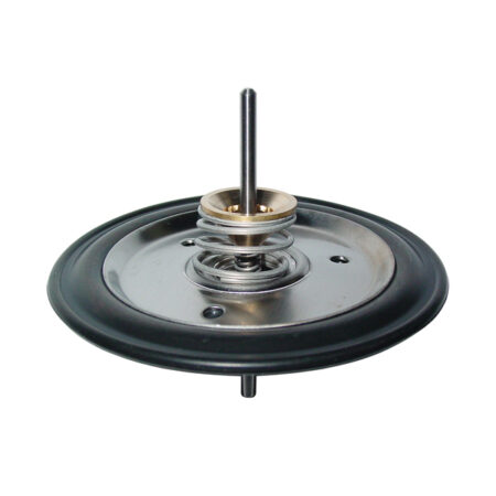 Giannoni Diaphragm Kit REGC50