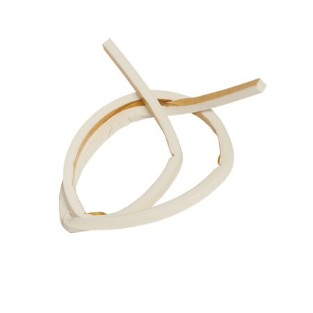 Glowworm Case Seal Side S212194