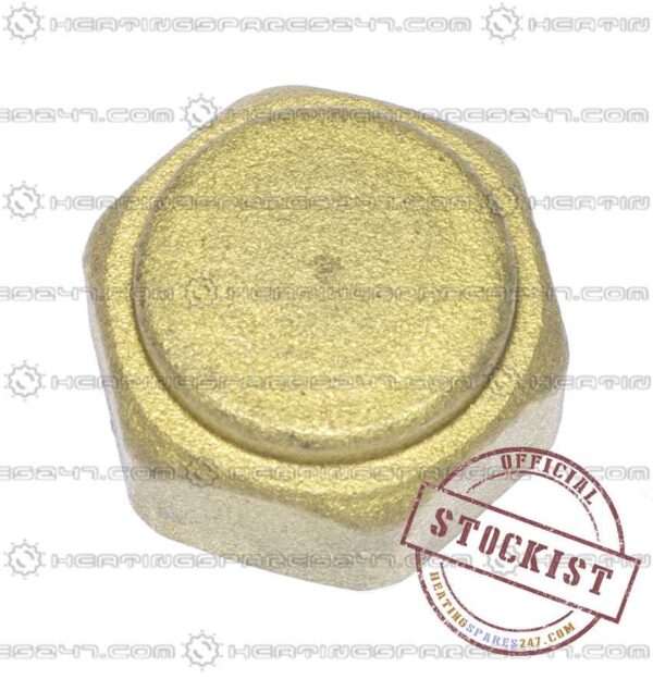 Worcester Blanking Cap - 3/4" 87161113880