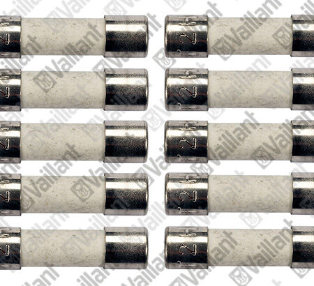 Vailant Fuse 2 Amp (Single) 0020067507