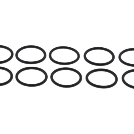 Glowworm O-Ring (Single) 0020118186