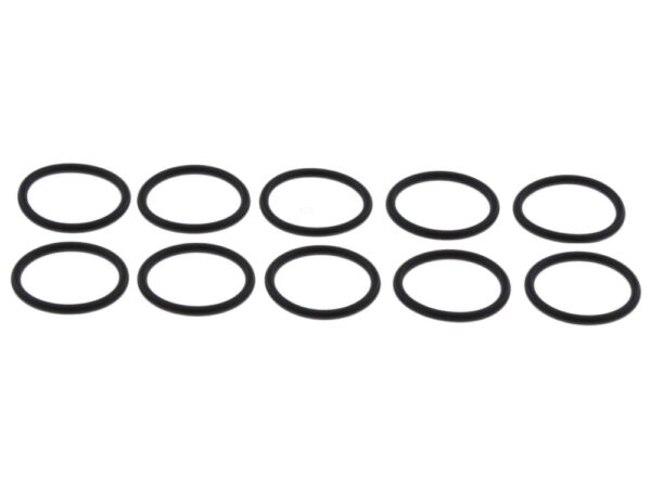 Glowworm O-Ring (Single) 0020118186