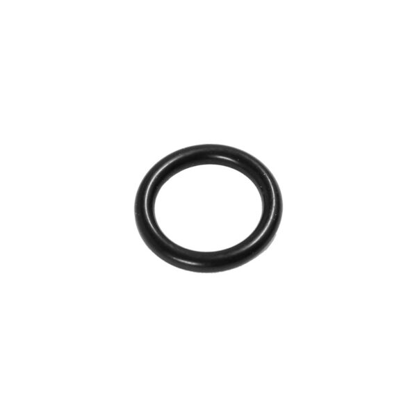 Heatline O-Ring 0020119389