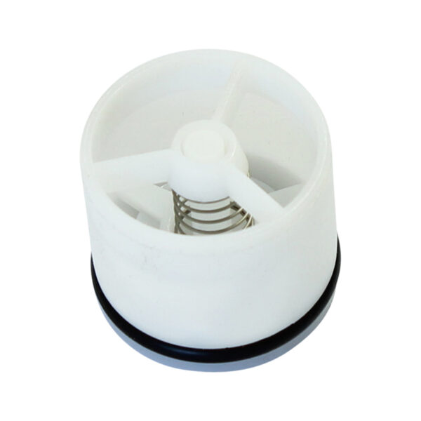 Procombi Non Return Valve 10025056
