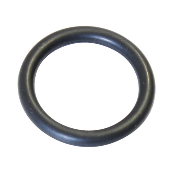 Ideal O-Ring (single) 174254