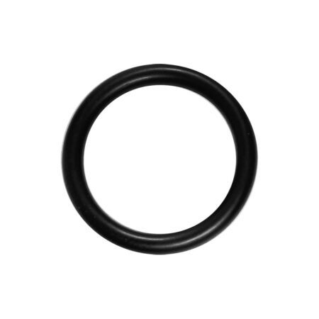 Glowworm O-Ring 18mm 2000801948