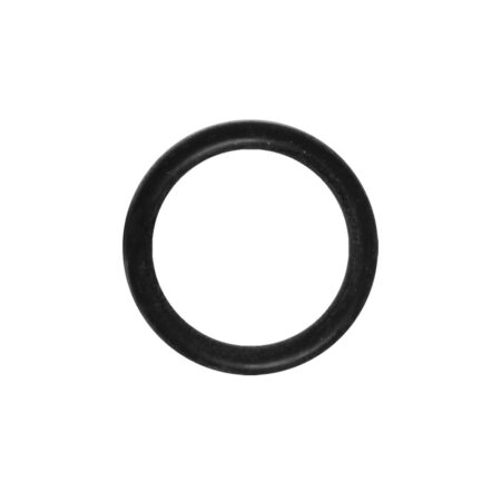 Remeha O-Ring (single) 720538501