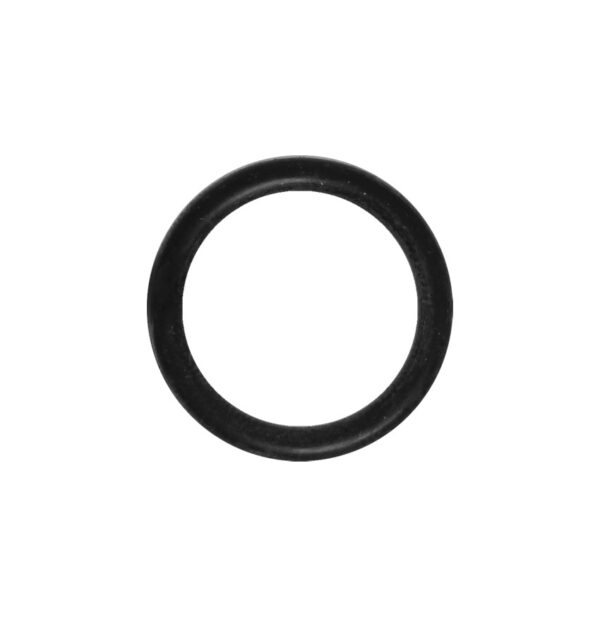 Remeha O-Ring (single) 720538501