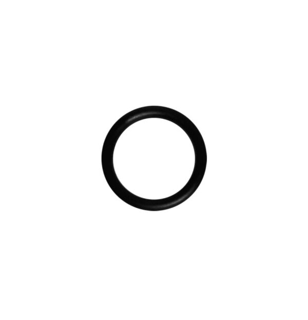 Remeha O-Ring (single) S62433