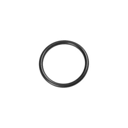 Intergas O Ring 19x2 875827