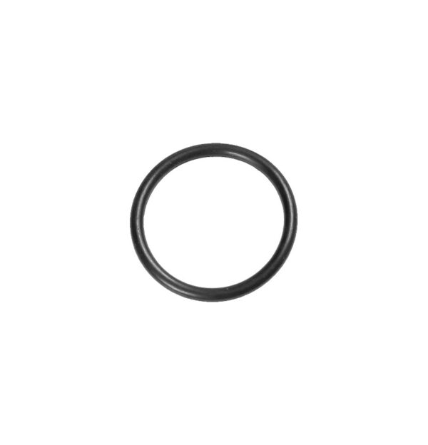 Intergas O Ring 19x2 875827