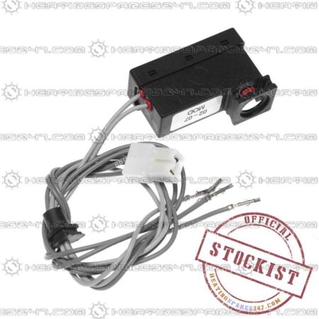 Ariston Microswitch - 573340