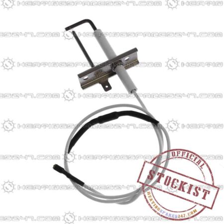 Biasi Electrode BI1313105