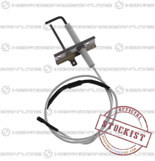 Biasi Electrode BI1313105