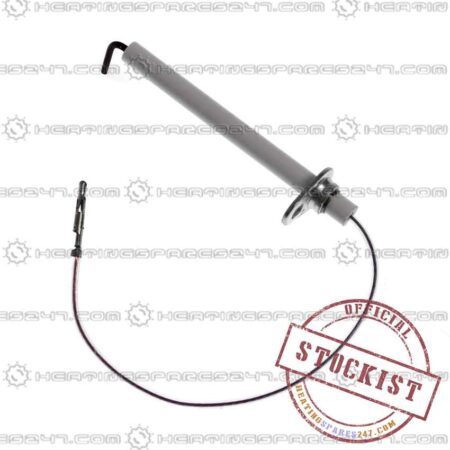 Biasi Electrode Dectection BI1123102