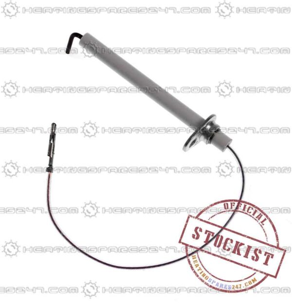 Biasi Electrode Dectection BI1123102