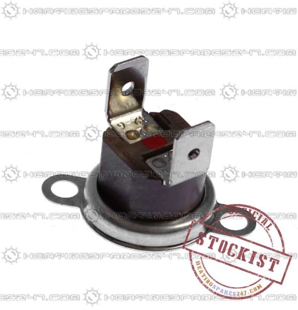 Biasi Overheat Thermostat BI1172105