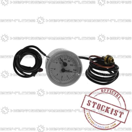 Biasi Temperature/Pressure Guage BI1475108