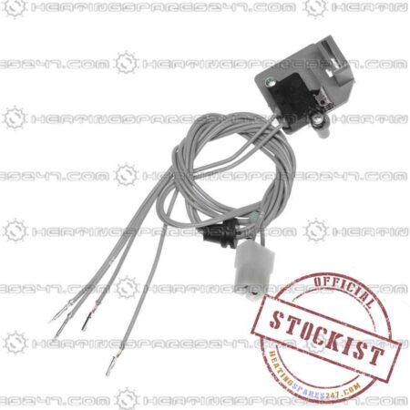 Chaffoteaux DHW Micro Switch 998921