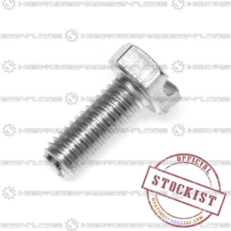 Chaffoteaux Screw M6 60019316-03