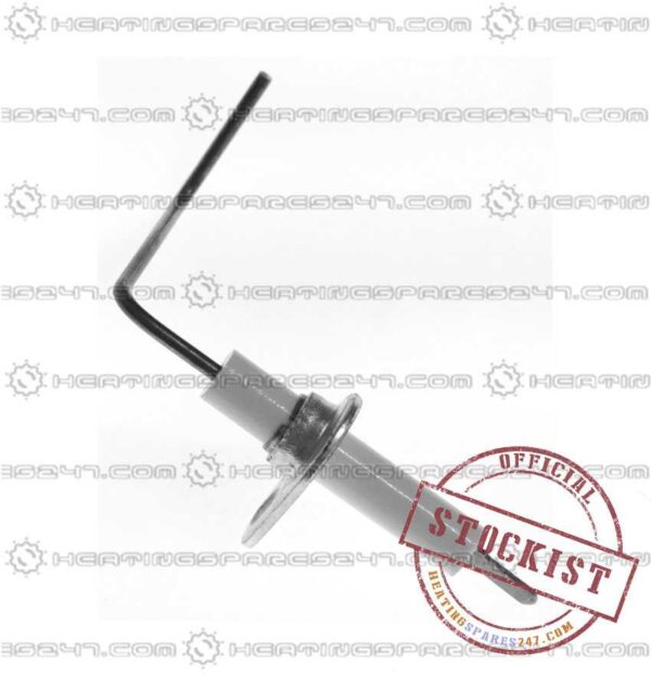 Ferroli Electrode - Flame Sensing 39805670