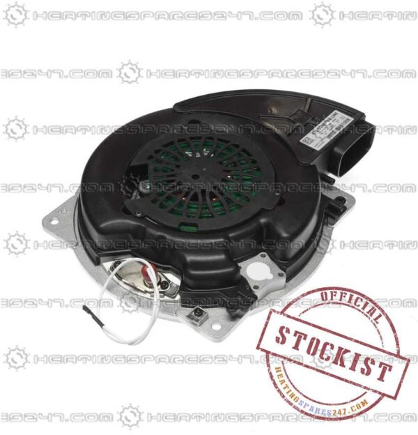 Ferroli Fan 39846060