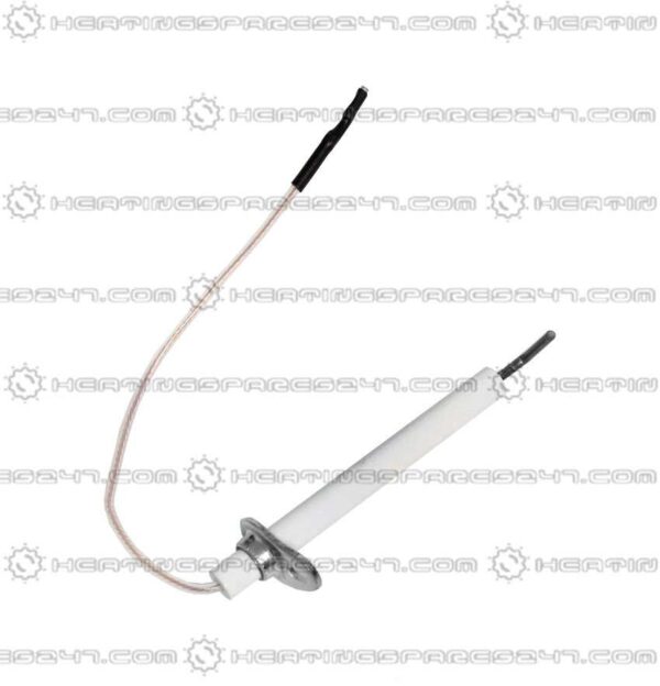 Glowworm Electrode 0020038703