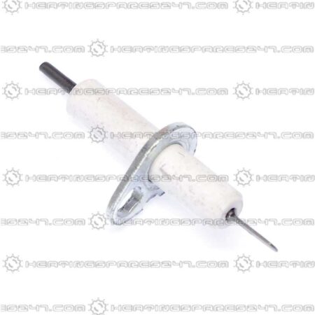 Glowworm Electrode S202616