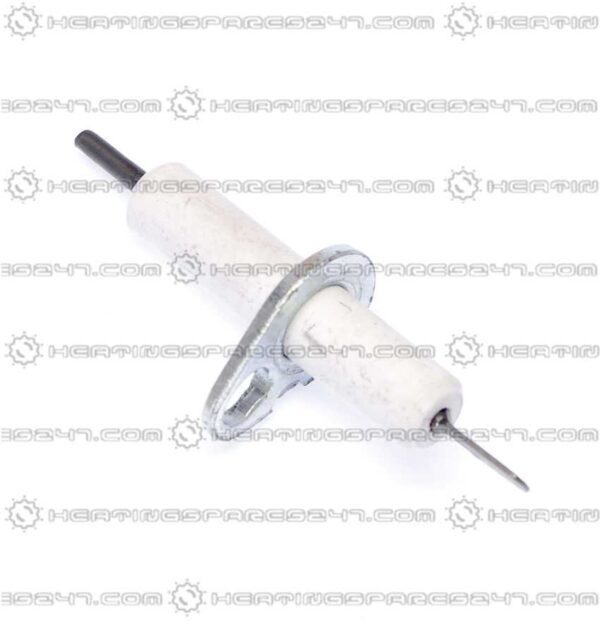 Glowworm Electrode S202616