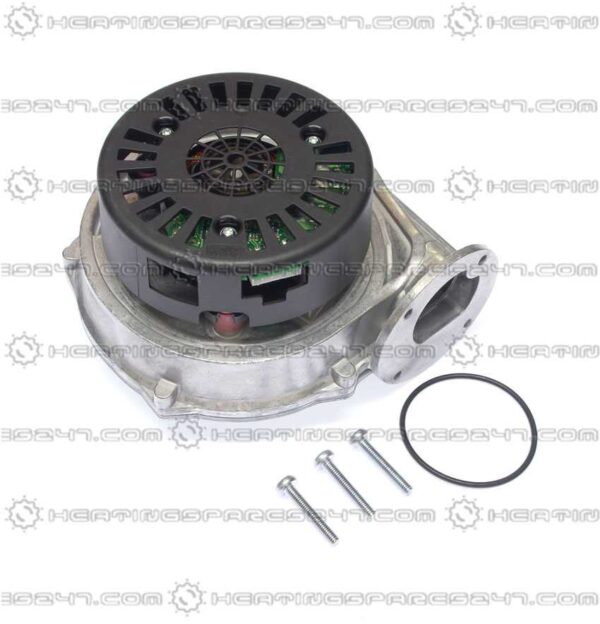 Glowworm Fan 0020020734