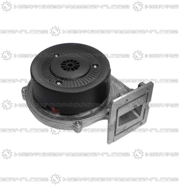Glowworm Fan 0020084501