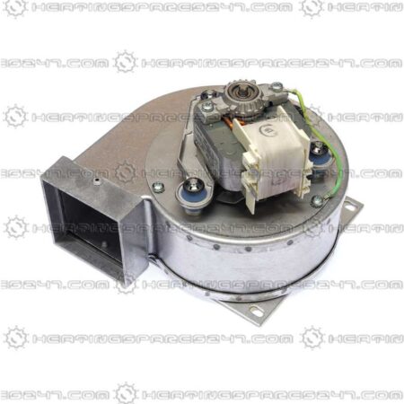 Glowworm Fan 432828